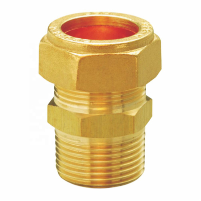 Brass fitting pipe Male and Coupling Unit