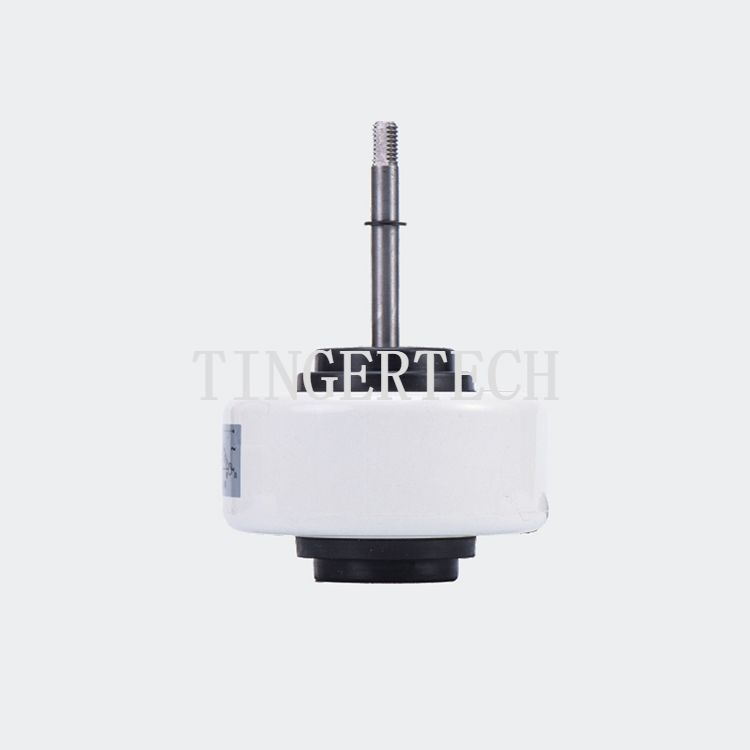 Electric Resin Packing Motors, AC Motors