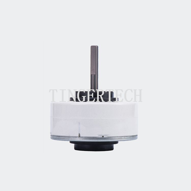 OEM Manufacturer standard Resin Pack Brushless Dc Motor